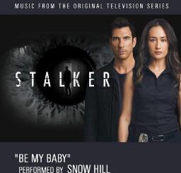 跟踪者/尾行者第一季Stalker 跟踪者/尾行者第一季Stalker