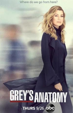 实习医生格蕾第十六季/全集Grey’s Anatomy 实习医生格蕾第十六季/全集Grey’s Anatomy