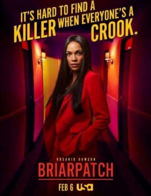 荆棘之路第一季/全集Briarpatch 荆棘之路第一季/全集Briarpatch