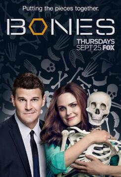 识骨寻踪第十至十二季/全集Bones 识骨寻踪第十至十二季/全集Bones